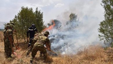 Photo of مفارز الجيش تواصل تدخلها للسيطرة على النيران بعدة ولايات من الوطن