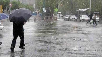 Photo of نشرية خاصة تحذر من أمطار غزيرة في 10 ولايات