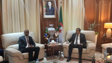 Photo of الجزائر وتنزانيا تتبحثان لتعزيز العلاقات الثنائية في مجال الطاقة والمناجم